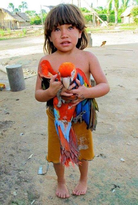 Αμαζόνιος, Βραζιλία